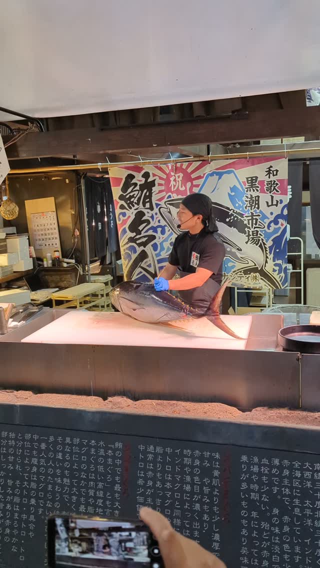 Japan: food, traditions and experiences you have to see in person
