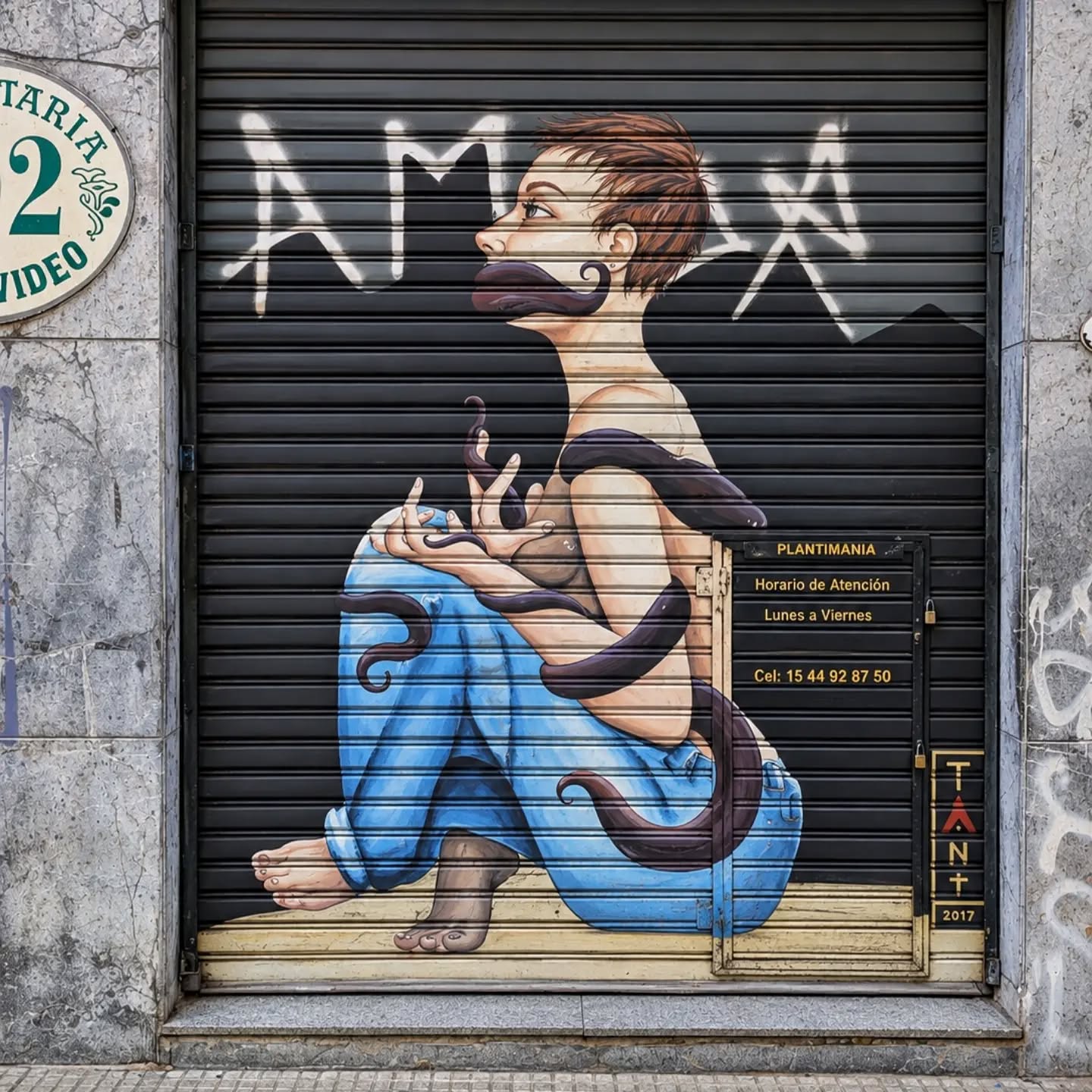 When the shutters close: hunting Buenos Aires' painted shop doors