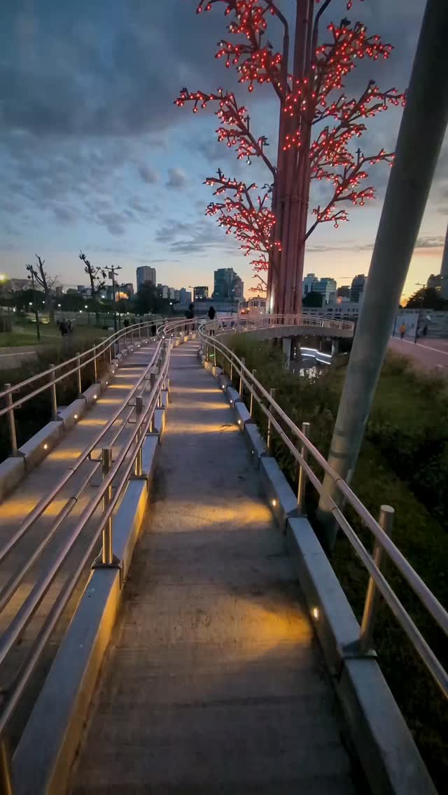 Arbórea Magna: Buenos Aires' tree of light (free, and best at sunset)